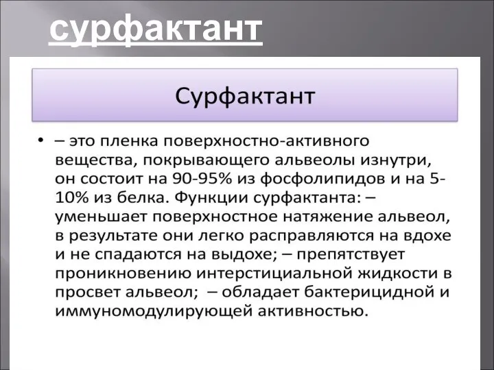 сурфактант