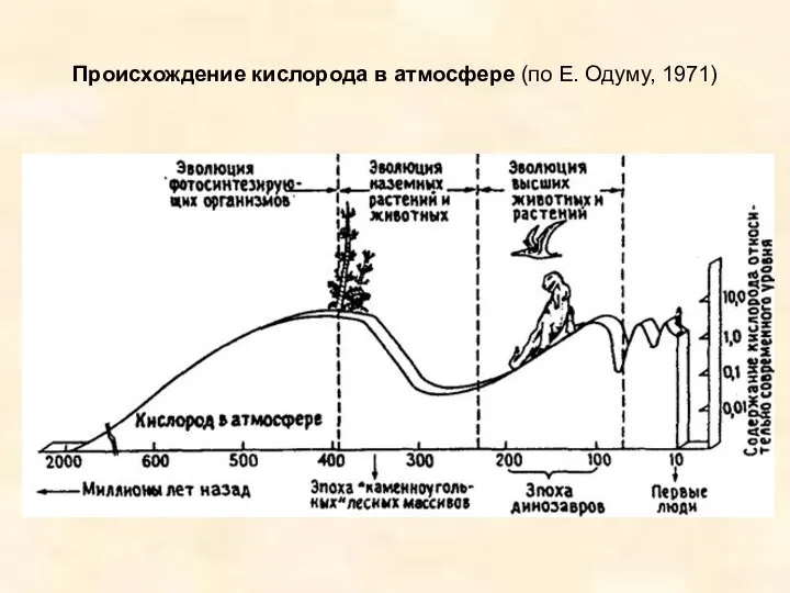 Происхождение кислорода в атмосфере (по Е. Одуму, 1971)