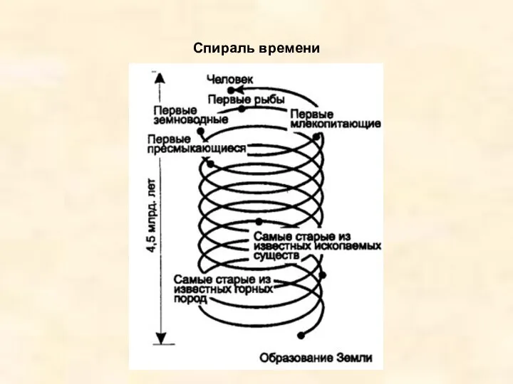 Спираль времени