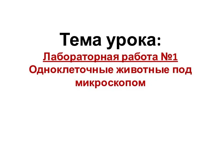 Тема урока: Лабораторная работа №1 Одноклеточные животные под микроскопом