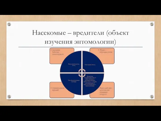 Насекомые – вредители (объект изучения энтомологии)