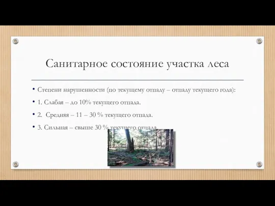 Санитарное состояние участка леса Степени нарушенности (по текущему отпаду – отпаду текущего