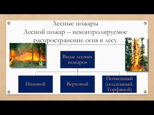 Лесные пожары Лесной пожар – неконтролируемое распространение огня в лесу
