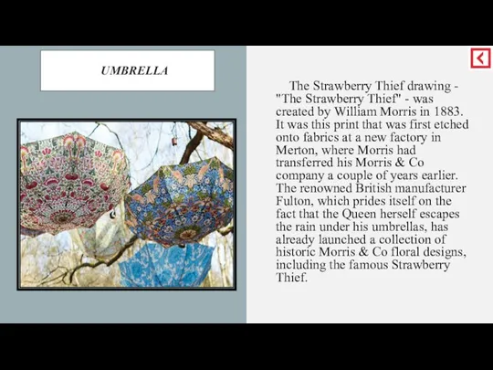 UMBRELLA The Strawberry Thief drawing - "The Strawberry Thief" - was created