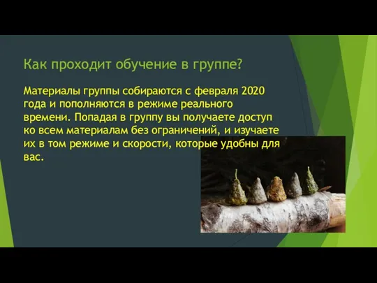 Как проходит обучение в группе? Материалы группы собираются с февраля 2020 года