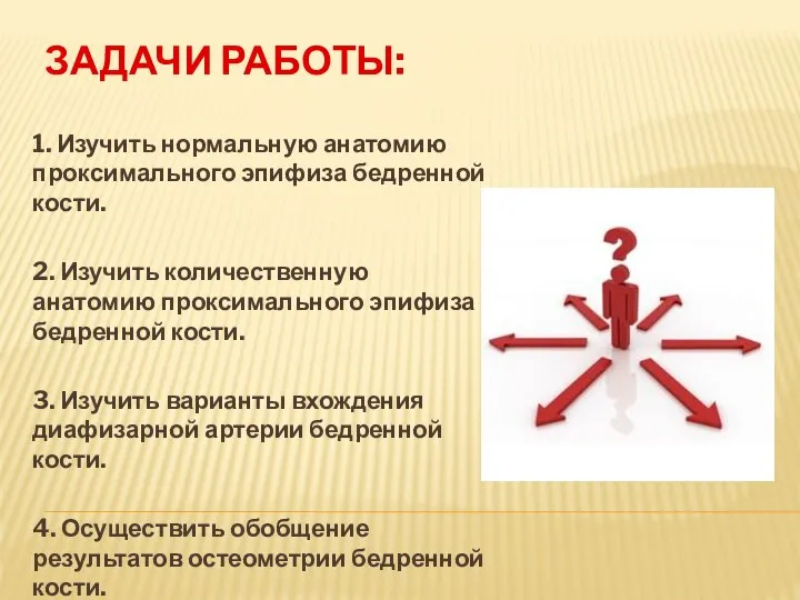 ЗАДАЧИ РАБОТЫ: 1. Изучить нормальную анатомию проксимального эпифиза бедренной кости. 2. Изучить