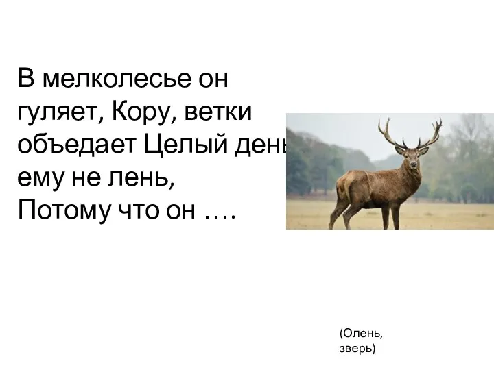 ? В мелколесье он гуляет, Кору, ветки объедает Целый день, ему не