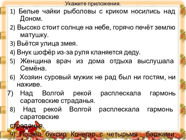 Укажите приложения. 1) Белые чайки рыболовы с криком носились над Доном. 2)