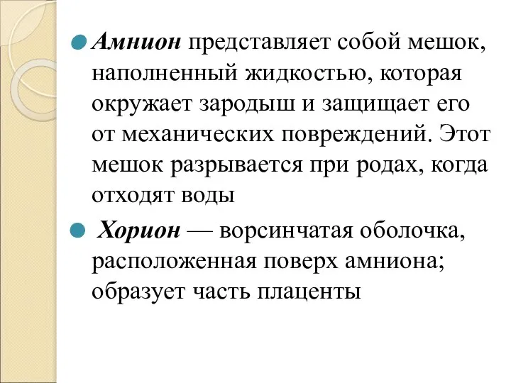 Амнион представляет собой мешок, наполненный жидкостью, которая окружает зародыш и защищает его