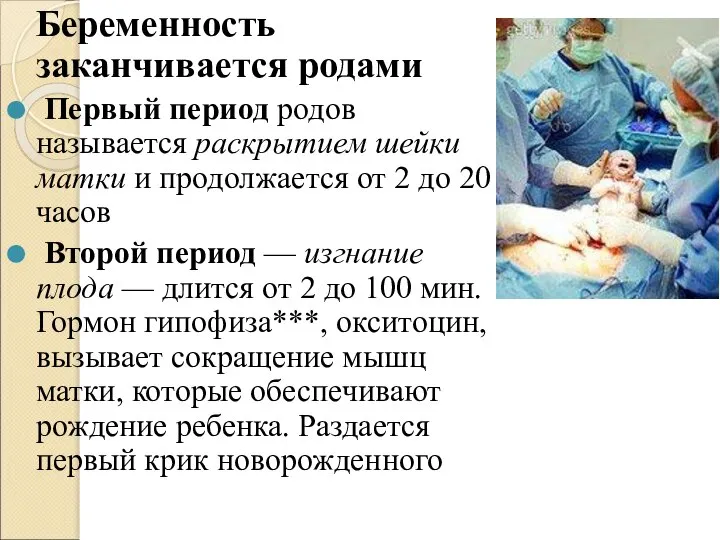 Беременность заканчивается родами Первый период родов называется раскрытием шейки матки и продолжается