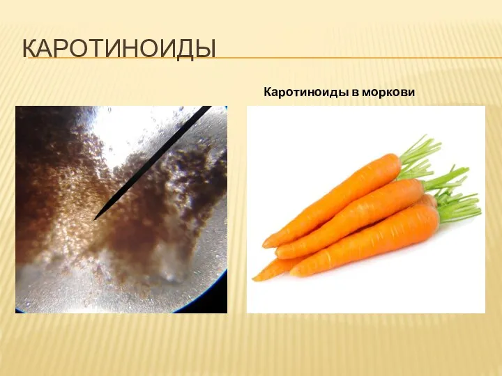 КАРОТИНОИДЫ Каротиноиды в моркови