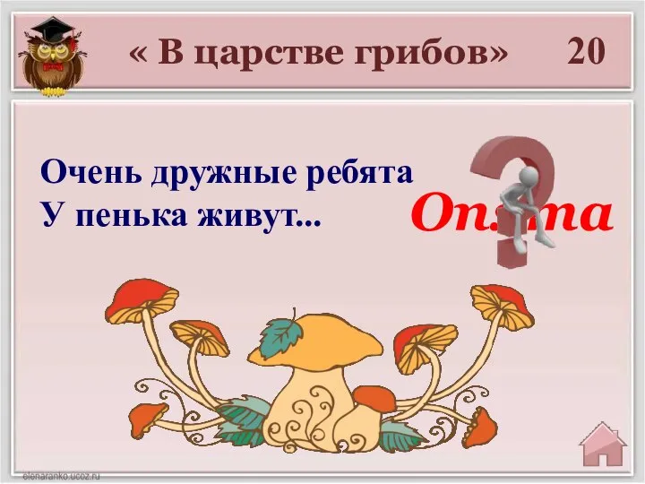 20 Опята « В царстве грибов» Очень дружные ребята У пенька живут...