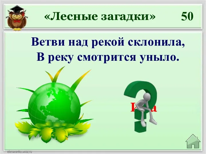 Ива 50 Ветви над рекой склонила, В реку смотрится уныло. «Лесные загадки»