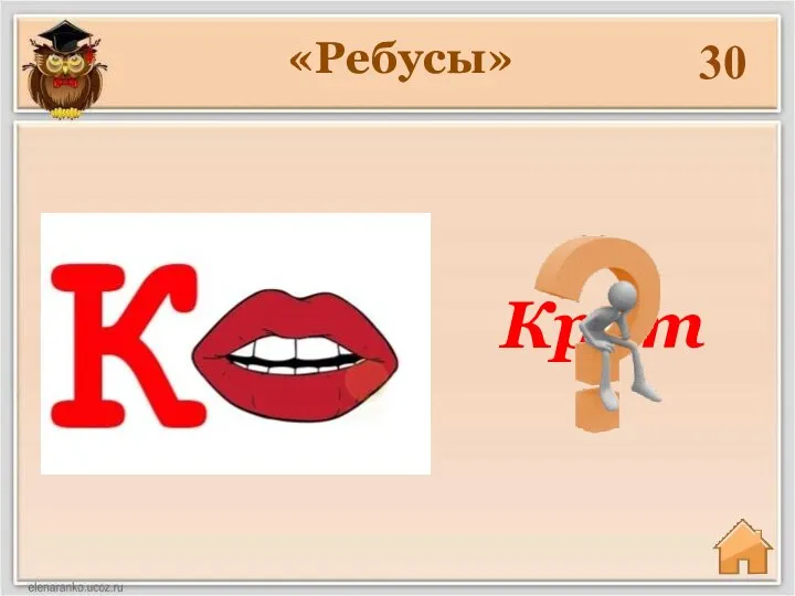 30 Крот «Ребусы»