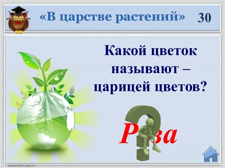 30 Какой цветок называют – царицей цветов? Роза «В царстве растений»