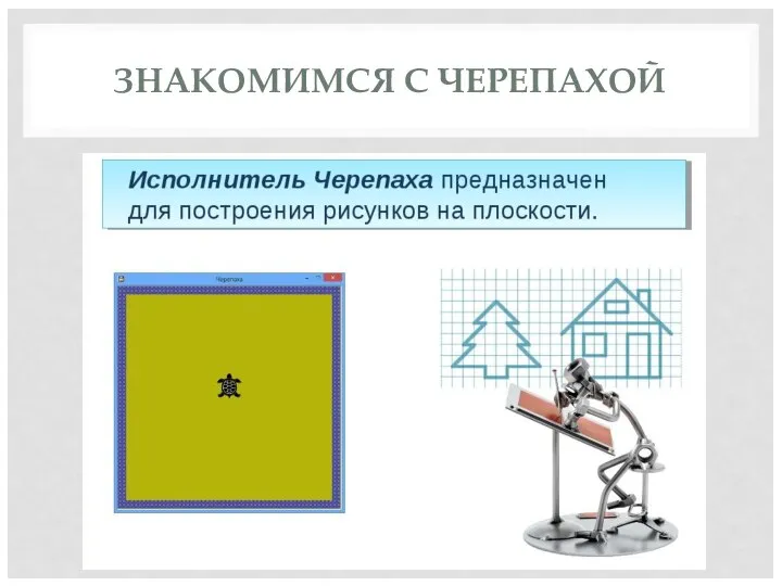 ЗНАКОМИМСЯ С ЧЕРЕПАХОЙ