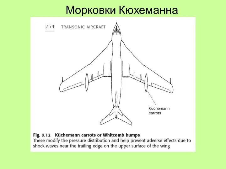 Морковки Кюхеманна