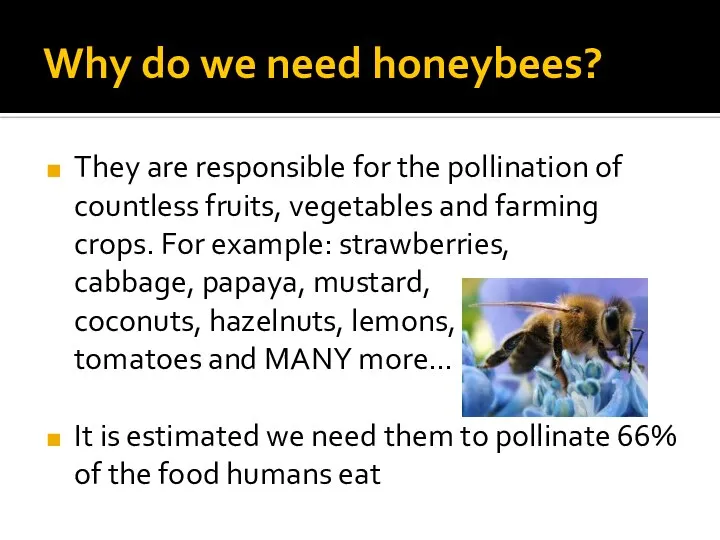 Why do we need honeybees? They are responsible for the pollination of