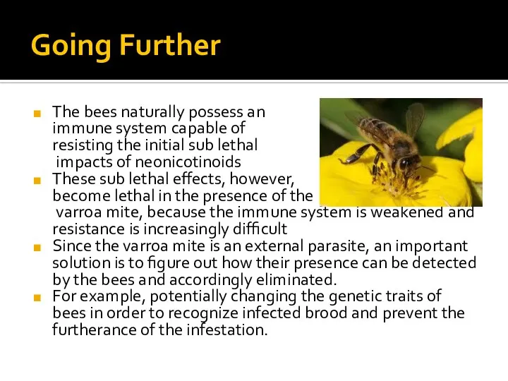 Going Further The bees naturally possess an immune system capable of resisting