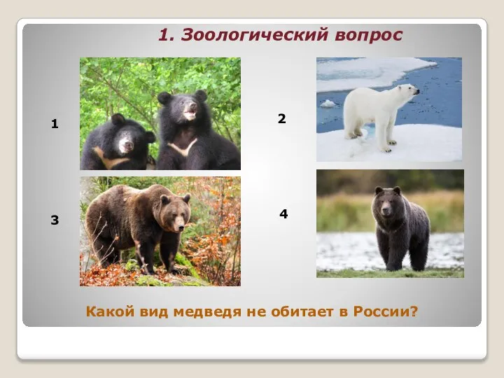 1. Зоологический вопрос Какой вид медведя не обитает в России? 1 2 3 4