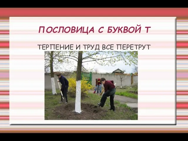 ПОСЛОВИЦА С БУКВОЙ Т ТЕРПЕНИЕ И ТРУД ВСЕ ПЕРЕТРУТ