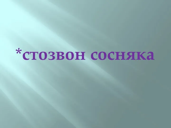 *стозвон сосняка