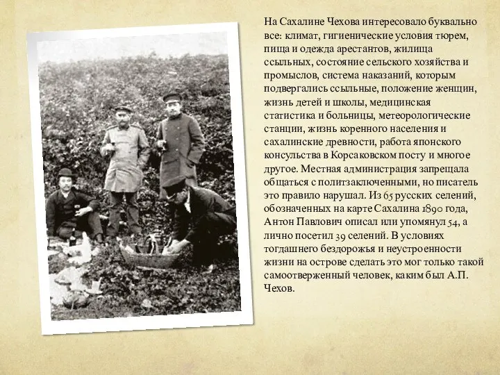 На Сахалине Чехова интересовало буквально все: климат, гигиенические условия тюрем, пища и