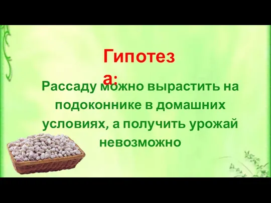 Рассаду можно вырастить на подоконнике в домашних условиях, а получить урожай невозможно Гипотеза: