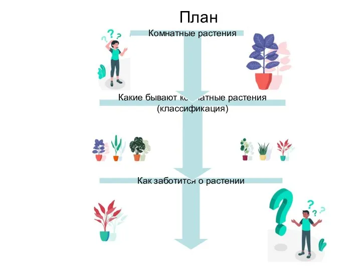 Как заботится о растении Какие бывают комнатные растения (классификация) План Комнатные растения