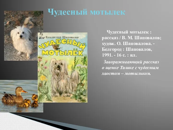 Чудесный мотылек : рассказ / В. М. Шаповалов; худож. О. Шаповалова. -