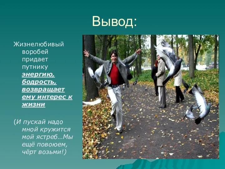 Вывод: Жизнелюбивый воробей придает путнику энергию, бодрость, возвращает ему интерес к жизни