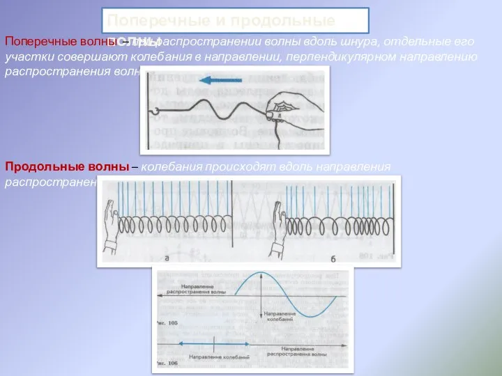 Поперечные и продольные волны Поперечные волны – при распространении волны вдоль шнура,