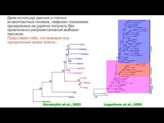 Logacheva et al., 2008 Goremykin et al., 2003 Даже используя данные о