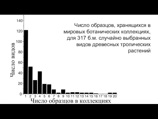 Число образцов, хранящихся в мировых ботанических коллекциях, для 317 б.м. случайно выбранных видов древесных тропических растений