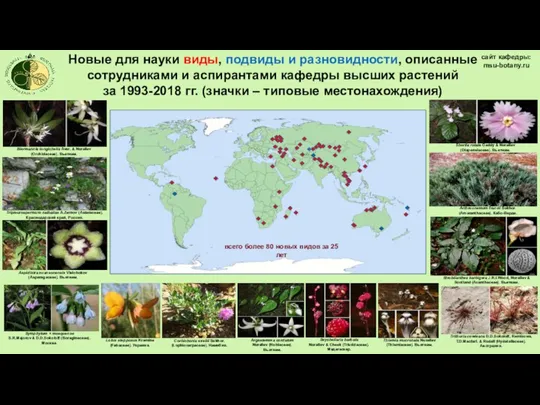 Shortia rotata Gaddy & Nuraliev (Diapensiaceae). Вьетнам. Новые для науки виды, подвиды