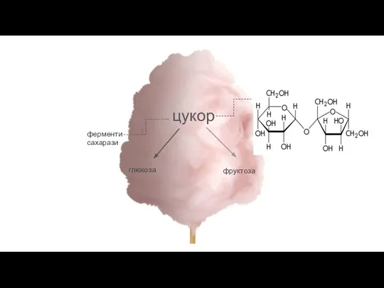 цукор глюкоза фруктоза ферменти сахарази