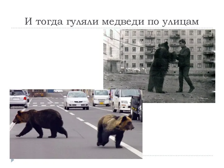 И тогда гуляли медведи по улицам