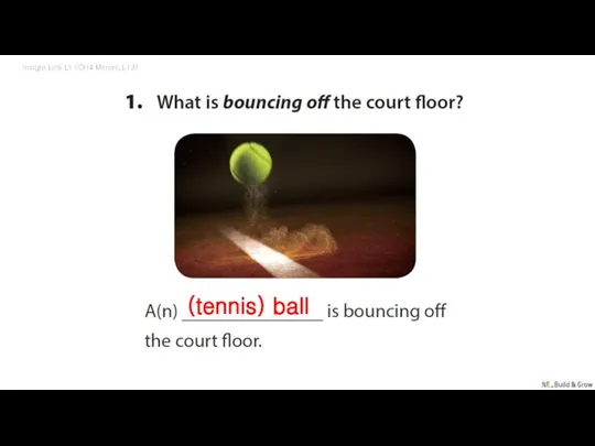 Insight Link L1 (CH4 Mirrors_L13) (tennis) ball