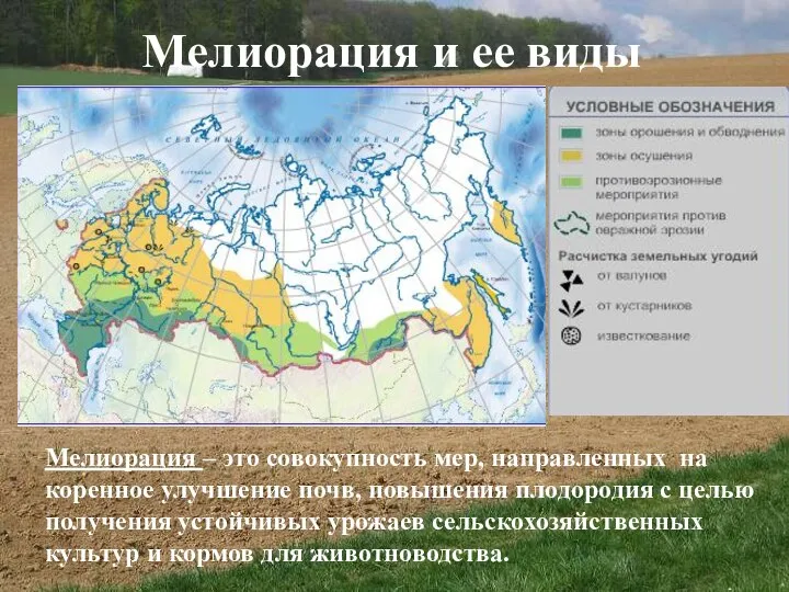 Мелиорация и ее виды Мелиорация – это совокупность мер, направленных на коренное