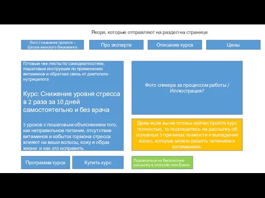 Готовые чек-листы по самодиагностике, пошаговые инструкции по применению витаминов и обратная связь