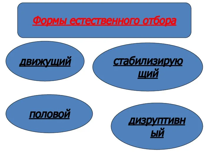 Формы естественного отбора движущий половой стабилизирующий дизруптивный