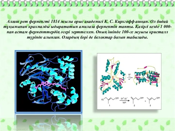 Алғаш рет ферменгті 1814 жылы орыс академигі К. С. Кирхгофф ашқан. Ол