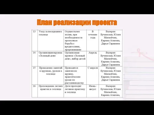 План реализации проекта