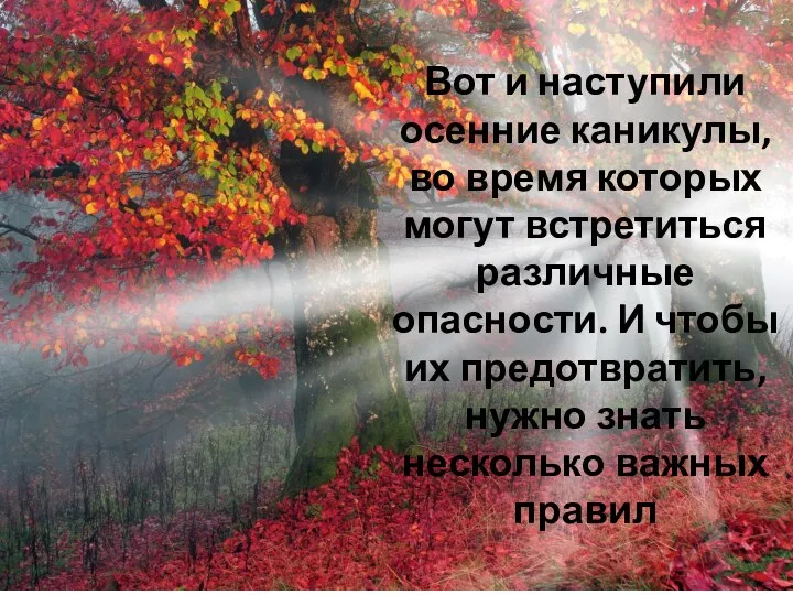 Вот и наступили осенние каникулы, во время которых могут встретиться различные опасности.