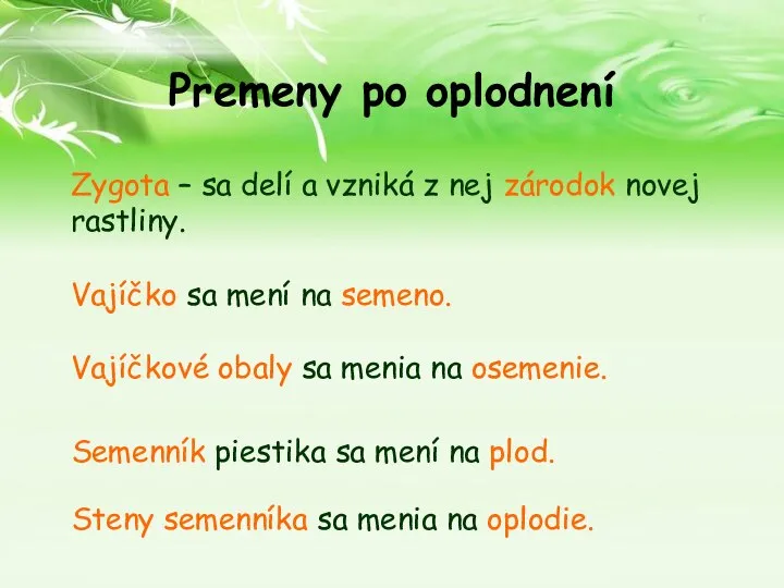 Premeny po oplodnení Zygota – sa delí a vzniká z nej zárodok