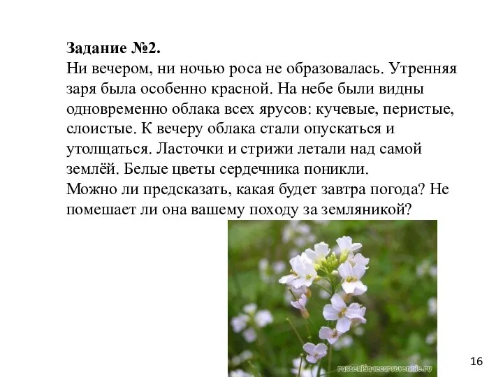 Задание №2. Ни вечером, ни ночью роса не образовалась. Утренняя заря была