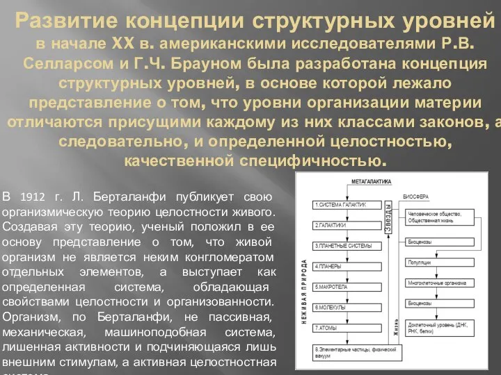 Развитие концепции структурных уровней в начале XX в. американскими исследователями Р.В. Селларсом