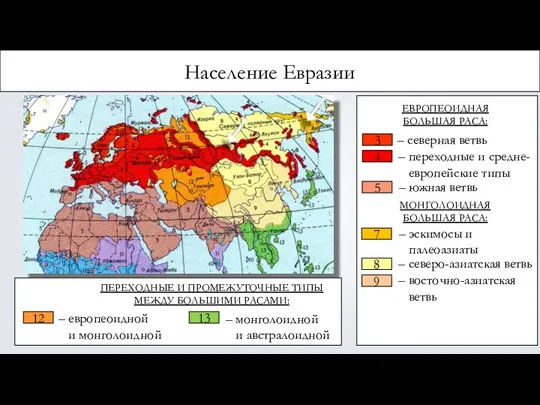 Население Евразии 4 3 5 9 ЕВРОПЕОИДНАЯ БОЛЬШАЯ РАСА: – северная ветвь