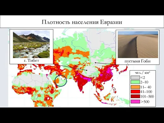 Плотность населения Евразии чел./ км² 2–10 11– 40 41–100 101–500 >500 г. Тибет пустыня Гоби