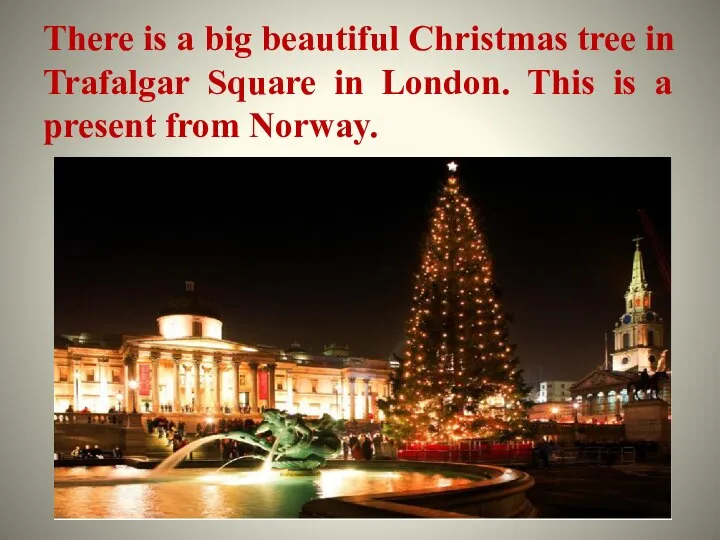 There is a big beautiful Christmas tree in Trafalgar Square in London.